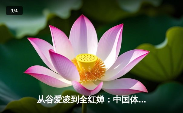 从谷爱凌到全红婵：中国体育新生代的崛起与挑战 - 3
