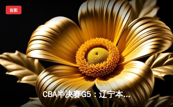 CBA半决赛G5：辽宁本钢加时逆转广东宏远 赵继伟砍35分率队挺进总决赛